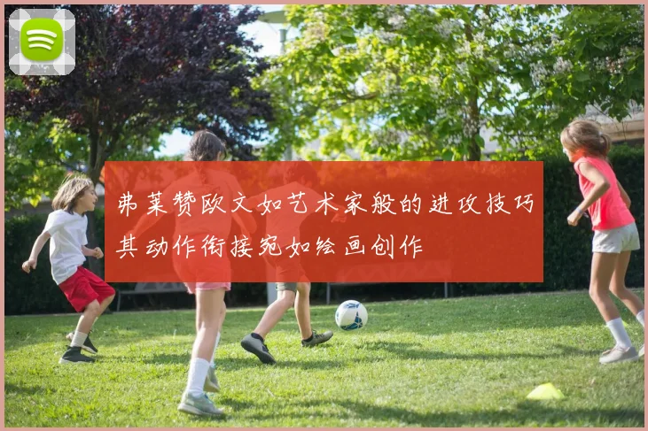 弗莱赞欧文如艺术家般的进攻技巧其动作衔接宛如绘画创作